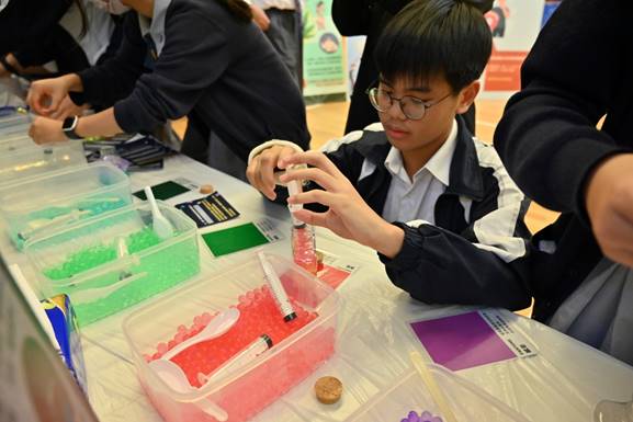 Stardust Bottle Workshop